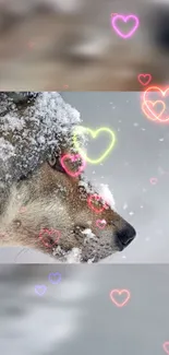 Snow-covered wolf with neon heart designs on mobile wallpaper.