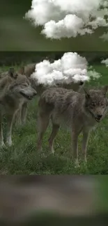 Wolves against a cloudy backdrop in nature.