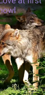 Wolves in a lush green forest, embracing nature.