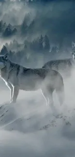 Two wolves in a misty snow forest, creating a serene wildlife scene.