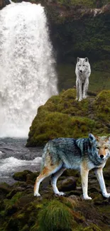 Majestic wolves by a waterfall in serene nature setting.