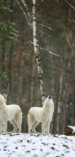 Wolves in a snowy forest setting as phone wallpaper.