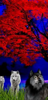 Three wolves under a vivid red tree against a blue sky on a mobile wallpaper.