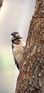 Woodpecker perched on a textured tree trunk, amid a natural setting.