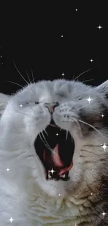 Fluffy cat yawning against starry black night sky.