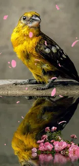 Yellow bird among pink petals on a serene watery backdrop.