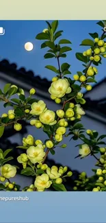 Yellow blossoms under moonlight against a night sky wallpaper.