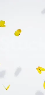 Yellow butterflies flutter on a white background, creating a serene mobile wallpaper.