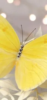 Yellow butterfly on a soft, light background with gentle leaves.