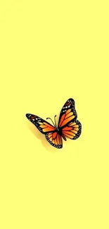 Yellow background with an orange butterfly illustration.