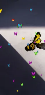 Yellow butterfly casting a shadow on a grey wall.