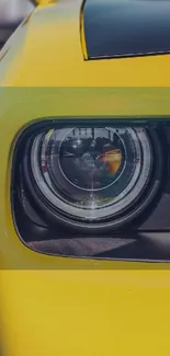 Close-up of a yellow car's headlight in sharp focus.