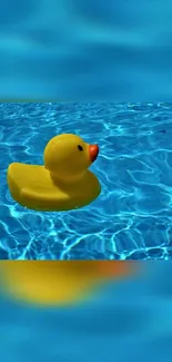 Yellow rubber duck floating in a blue pool.