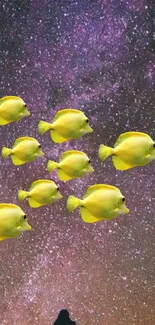 Yellow fish swim under a vibrant starry sky.