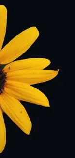 Minimalist wallpaper with a bright yellow flower on a black background.