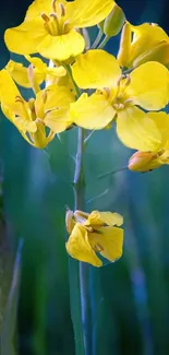 Vibrant yellow flowers with green leaves in a nature-inspired wallpaper design.