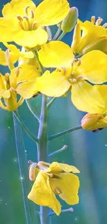 Close-up of a vibrant yellow flower with blurred green background in mobile wallpaper.