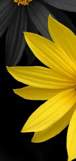 Yellow flower mobile wallpaper with black background and detailed petals.