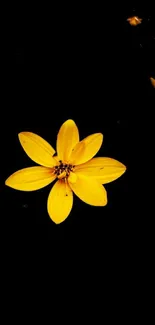 Yellow flower on a deep black background mobile wallpaper.