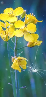 Bright yellow flower against a blurred nature background.