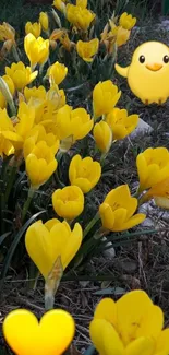 Yellow crocus flowers with a chick emoji in a grassy garden.