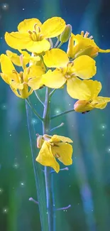 Close-up of bright yellow flowers with blurred green background.