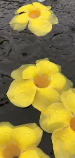 Yellow flowers float serenely on a rippling water surface.