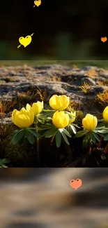 Yellow flowers with hearts; serene nature wallpaper.