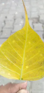 Close-up of a yellow leaf on cobblestones with subtle sparkles.