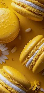 Yellow macarons and daisies on a bright background.