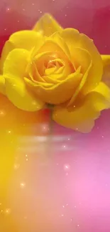 Yellow rose with blurred pink and red background.