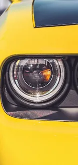 Close-up of a yellow sports car headlight design.