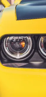 Closeup of a yellow sports car headlight.