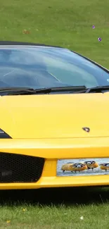 Yellow sports car parked on green grass.