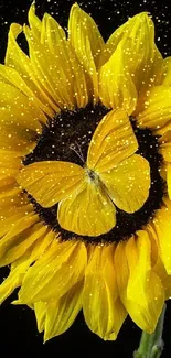 Yellow sunflower with a butterfly on its petals.