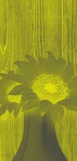 Yellow sunflower against a wood backdrop wallpaper.