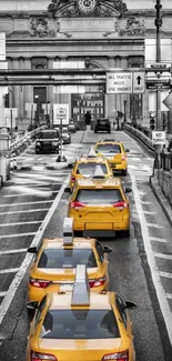 Black and white cityscape with yellow taxis on a busy street.