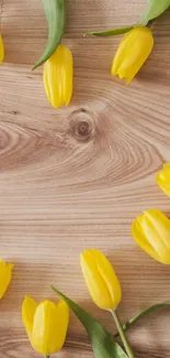 Yellow tulips on a wooden texture background, arranged in a circular pattern.