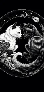 Intricate yin yang cat art in black and white design for mobile wallpaper.