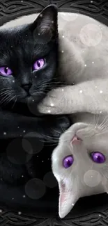 Yin Yang cats with purple eyes in black and white design wallpaper.