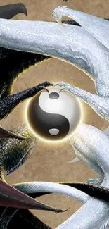 Yin Yang dragon wallpaper with black and white intertwined dragons.