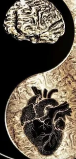 Artistic yin yang with heart and brain design.