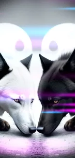 Two wolves, black and white, face off symbolizing Yin Yang balance.