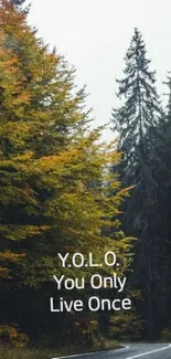 YOLO quote on a forest road with autumn trees, inspiring wanderlust and adventure.