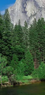 Yosemite mountain and river scene wallpaper with lush green forest.