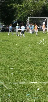 Kids play soccer on a lush green field.