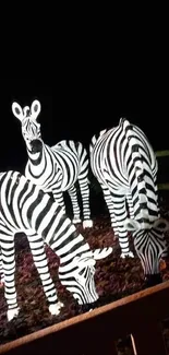 Illuminated zebra sculptures in a dark night safari setting.