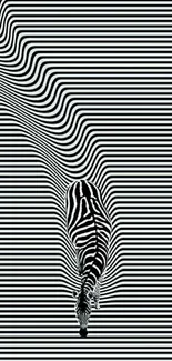 Zebra optical illusion with black and white stripes creating mesmerizing art.