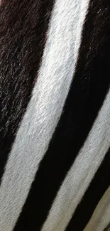 Close-up of zebra stripe pattern wallpaper in black and white.