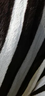 Close-up of zebra stripes creating a striking black and white pattern.